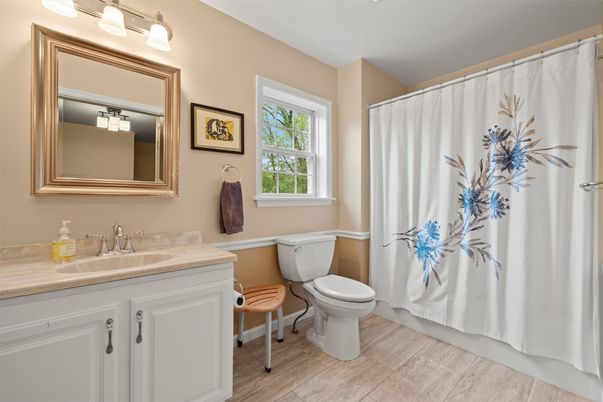 Bathroom, Interior, Wood Texture Flooring