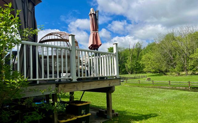 Backyard, Exterior