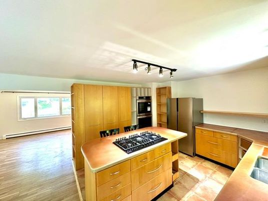 Interior, Kitchen, Stainless Steel Appliances, Wood Texture Flooring