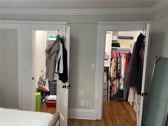 Interior, Walk-in Closets, Wood Texture Flooring