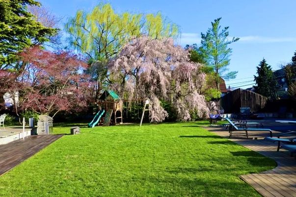 Backyard, Exterior, Playground