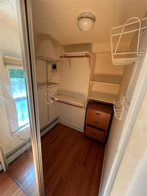 Interior, Walk-in Closets, Wood Texture Flooring