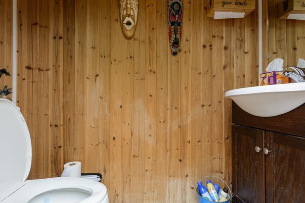 Bathroom, Interior, Wooden Walls