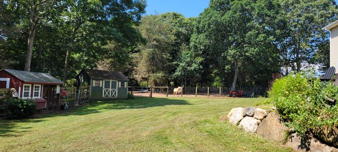 Backyard, Exterior