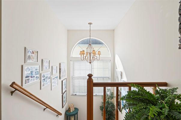 Chandelier, Interior, Pendant Lights