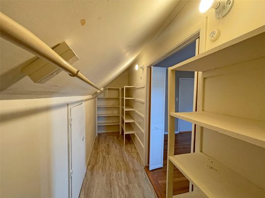 Interior, Walk-in Closets, Wood Texture Flooring
