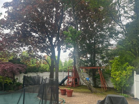 Backyard, Exterior, Playground