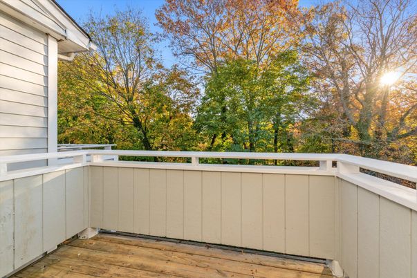 Exterior, Wood Texture Flooring