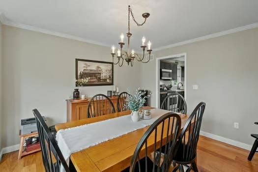 Chandelier, Dining room, Interior, Wood Texture Flooring