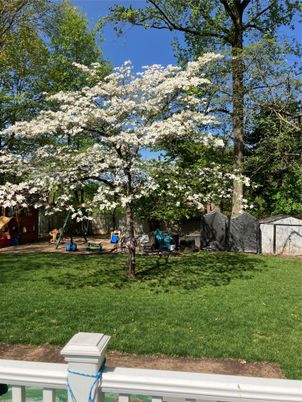Backyard, Exterior, Playground