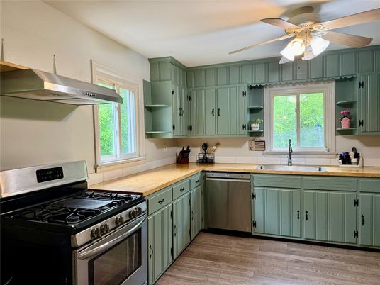 Interior, Kitchen, Stainless Steel Appliances, Wood Texture Flooring