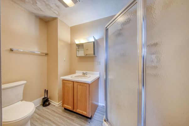 Bathroom, Glass Shower, Interior, Wood Texture Flooring