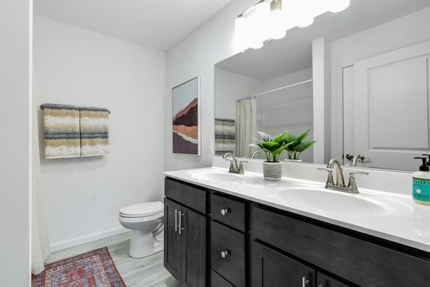 Bathroom, Dual Sink Vanities, Interior, Wood Texture Flooring