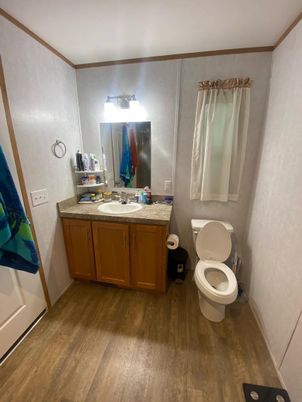 Bathroom, Interior, Wood Texture Flooring