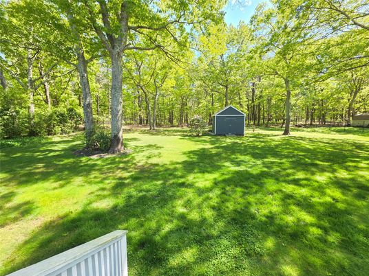 Backyard, Detached Garage, Exterior