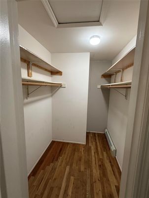Interior, Walk-in Closets, Wood Texture Flooring