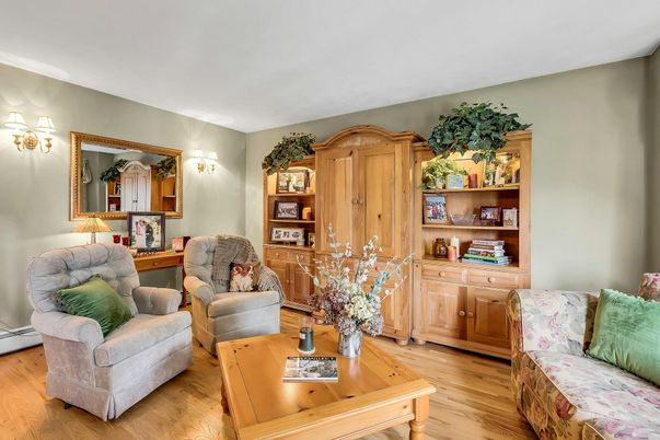 Interior, Living room, Wood Texture Flooring