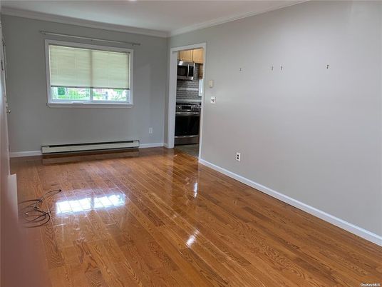 Empty room, Interior, Kitchen, Stainless Steel Appliances, Wood Texture Flooring