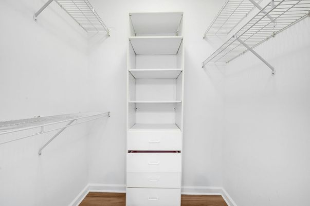 Interior, Walk-in Closets, Wood Texture Flooring