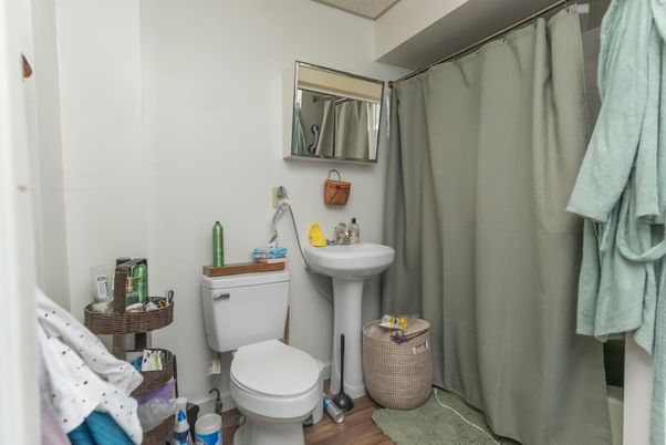 Bathroom, Interior, Wood Texture Flooring
