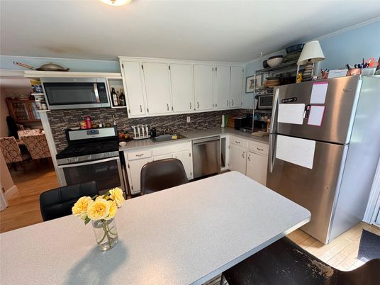 Interior, Kitchen, Stainless Steel Appliances, Wood Texture Flooring