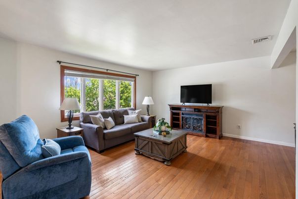 Interior, Living room, Wood Texture Flooring