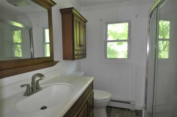 Bathroom, Glass Shower, Interior, Wood Texture Flooring
