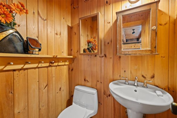 Bathroom, Interior, Wooden Walls