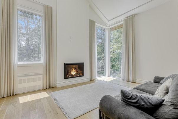 Fireplace, Interior, Wood Texture Flooring