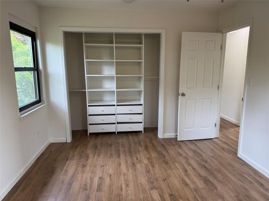 Interior, Walk-in Closets, Wood Texture Flooring