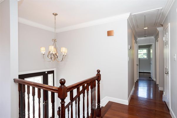 Chandelier, Interior, Wood Texture Flooring