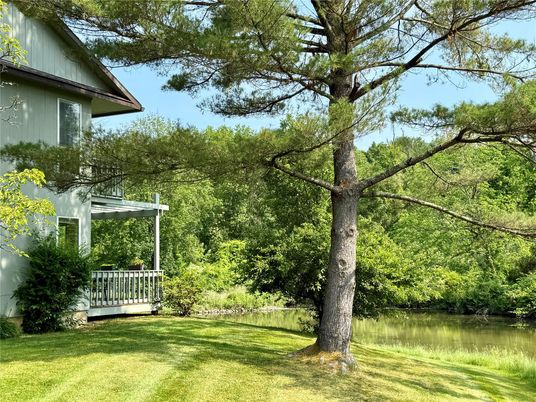 Backyard, Exterior, Water