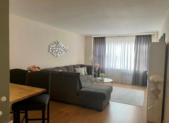 Dining room, Interior, Living room, Wood Texture Flooring