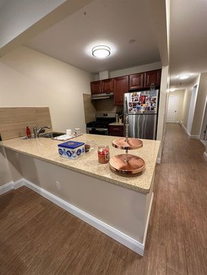 Interior, Kitchen, Stainless Steel Appliances, Wood Texture Flooring