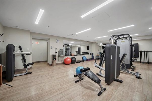 Fitness Equipment, Gym, Interior, Recessed Lighting, Wood Texture Flooring