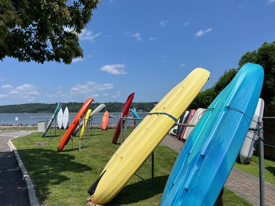 Backyard, Exterior, Playground, Water