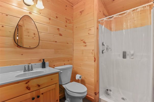Bathroom, Interior, Wooden Walls