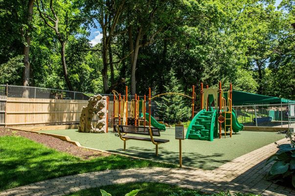 Backyard, Exterior, Playground