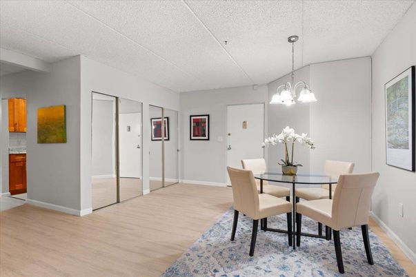 Dining room, Interior, Pendant Lights, Wood Texture Flooring