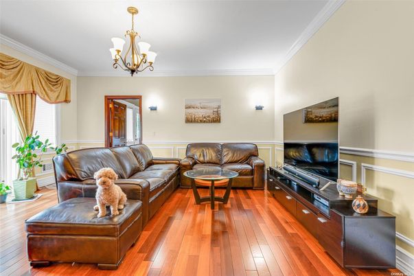 Chandelier, Interior, Living room, Wood Texture Flooring