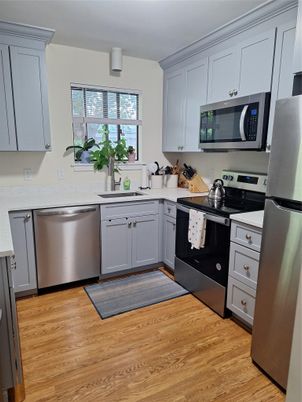 Interior, Kitchen, Stainless Steel Appliances, Wood Texture Flooring