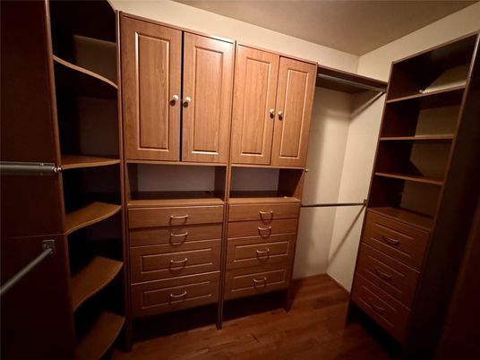 Interior, Walk-in Closets, Wood Texture Flooring