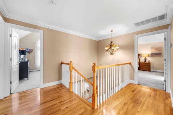 Chandelier, Interior, Wood Texture Flooring