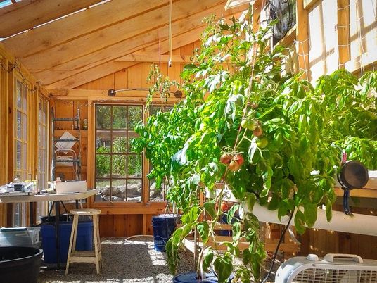 Interior, Wooden Ceilings, Wooden Walls