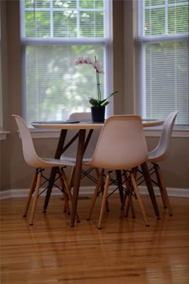 Dining room, Interior, Wood Texture Flooring