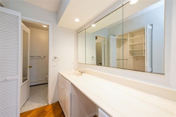 Bathroom, Interior, Recessed Lighting, Wood Texture Flooring