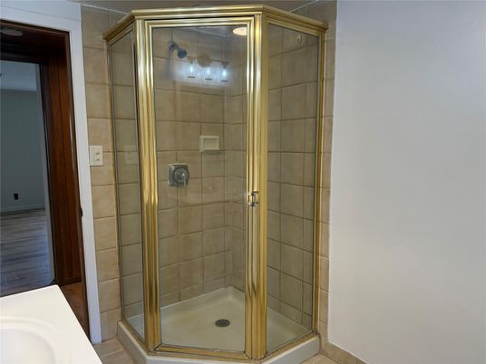 Bathroom, Glass Shower, Interior, Wood Texture Flooring