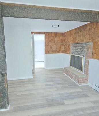 Empty room, Fireplace, Interior, Stone Walls, Wood Texture Flooring
