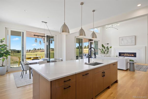 Dining room, Fireplace, Interior, Kitchen, Living room, Pendant Lights, Recessed Lighting, Wood Texture Flooring