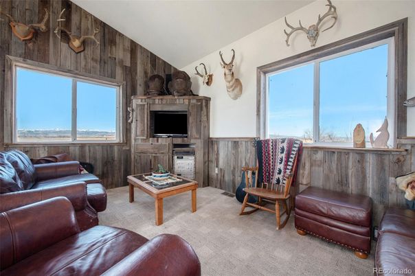 Interior, Living room, Wooden Walls
